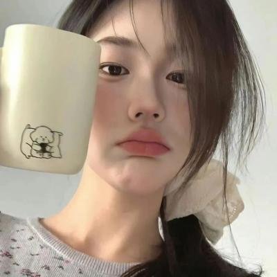 鸭子的天空